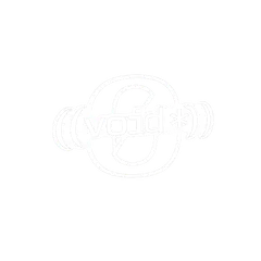 voidstar emblem + name